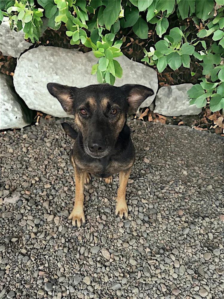 Lola — thumbnail 5