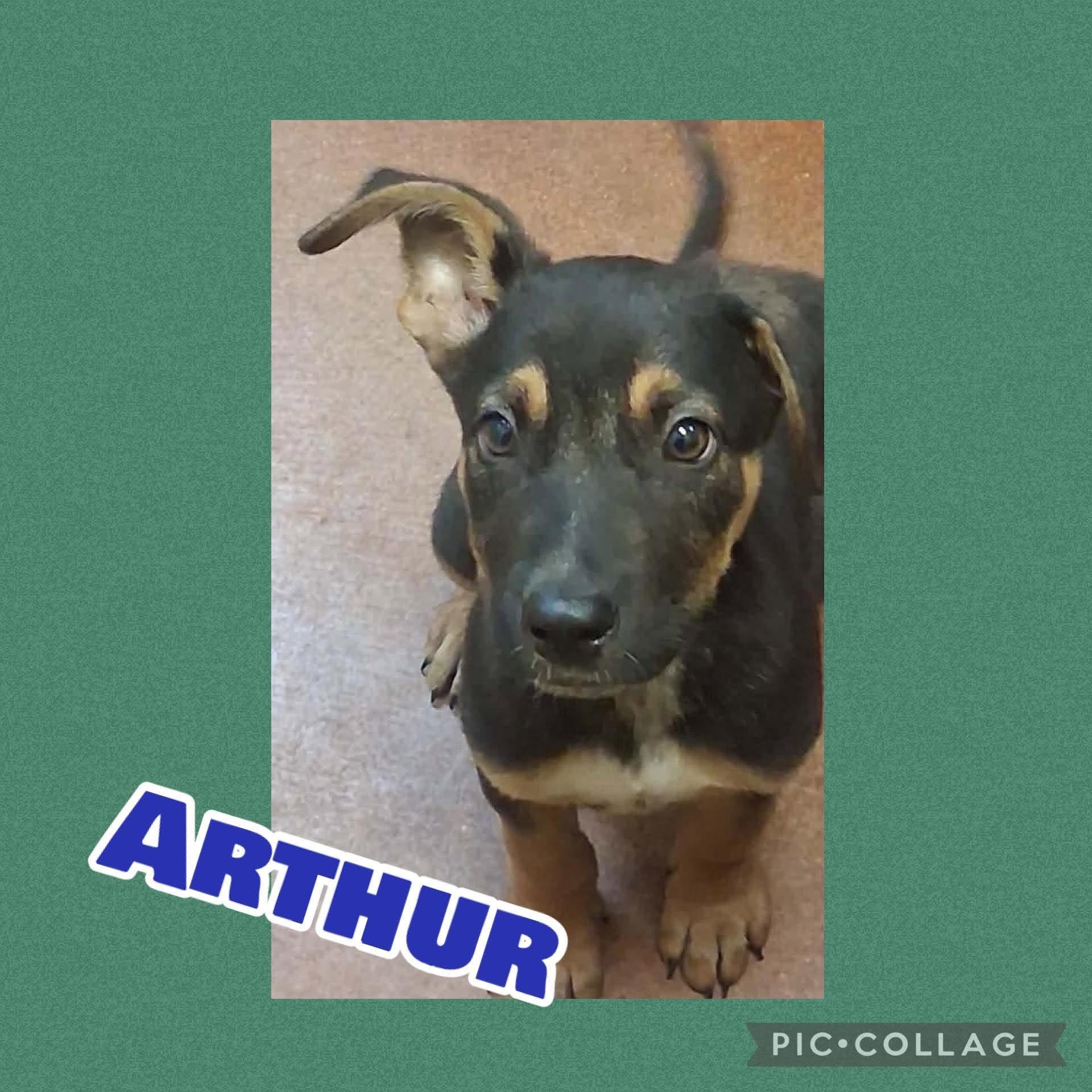 Arthur photo