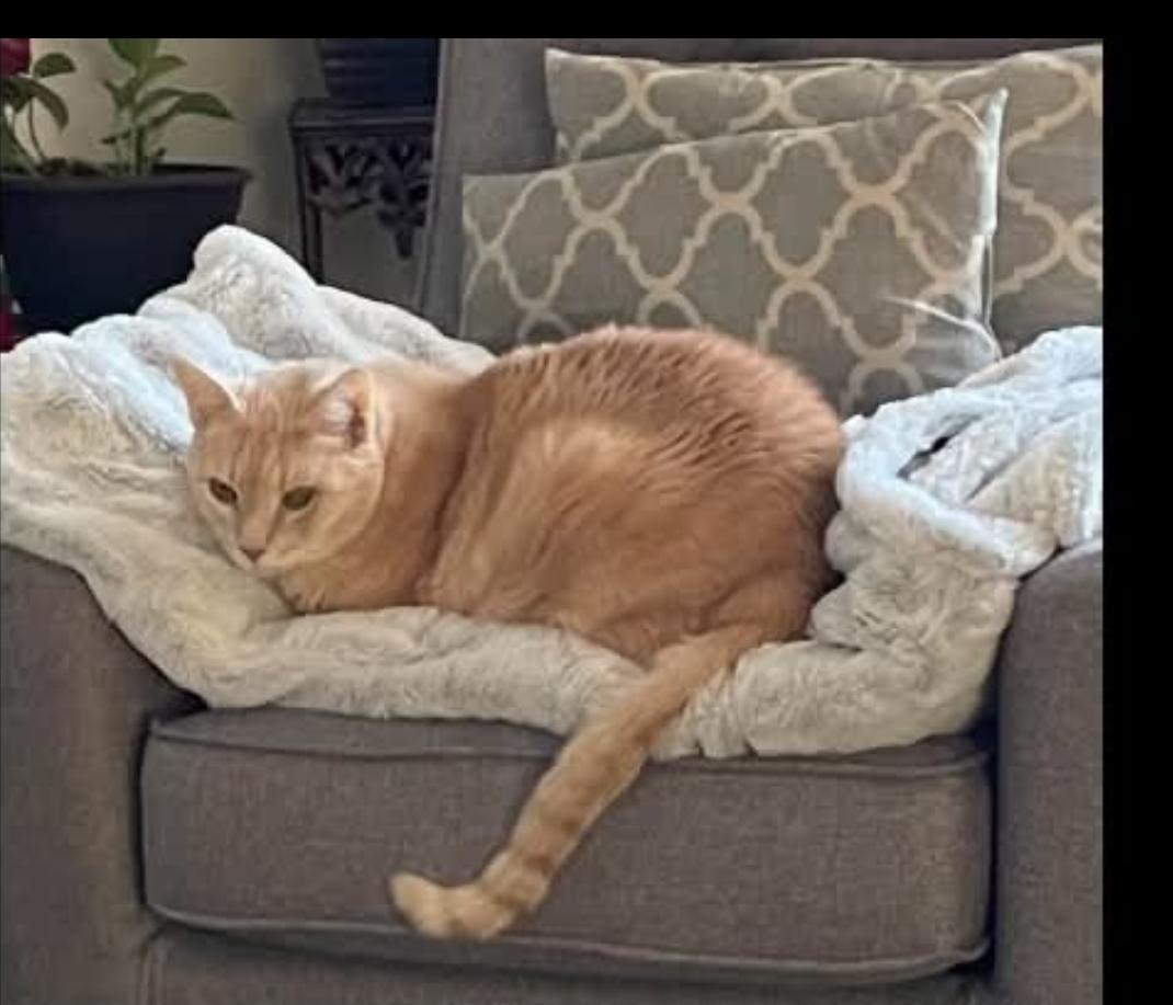 Sonny James — thumbnail 2