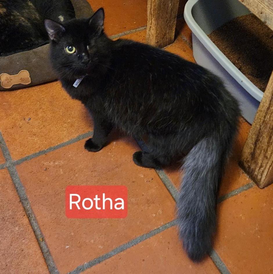 Rotha