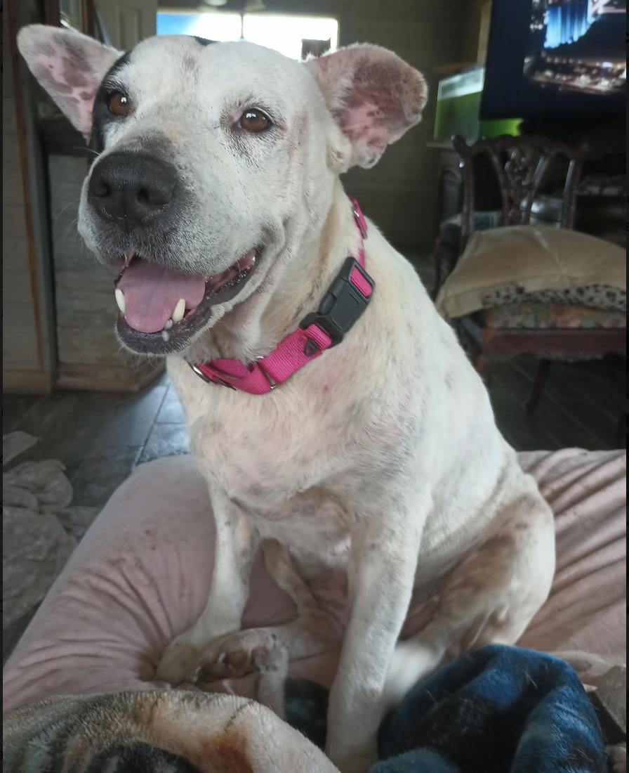 Mama — thumbnail 2