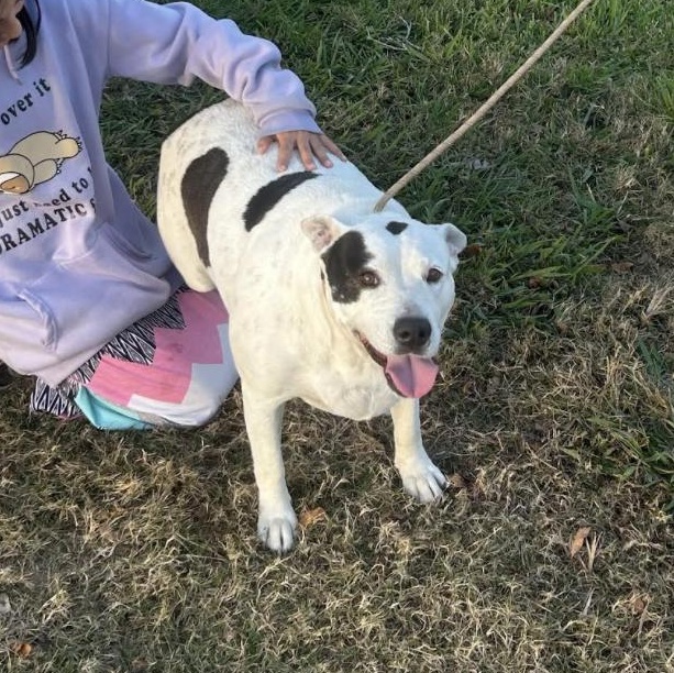 Mama — thumbnail 3