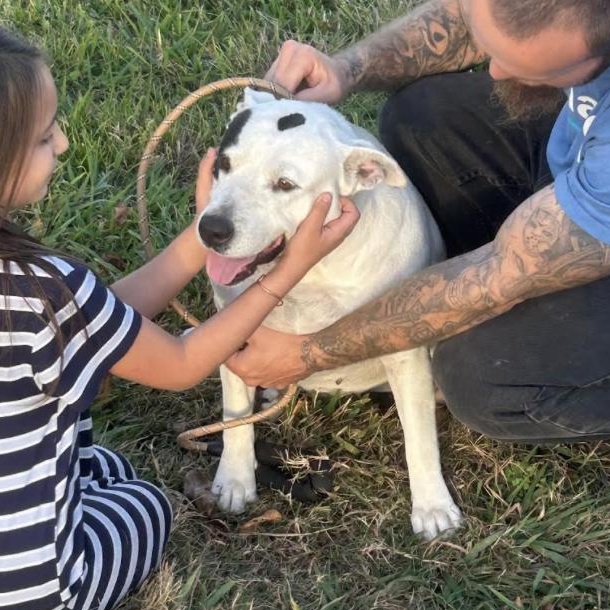 Mama — thumbnail 4