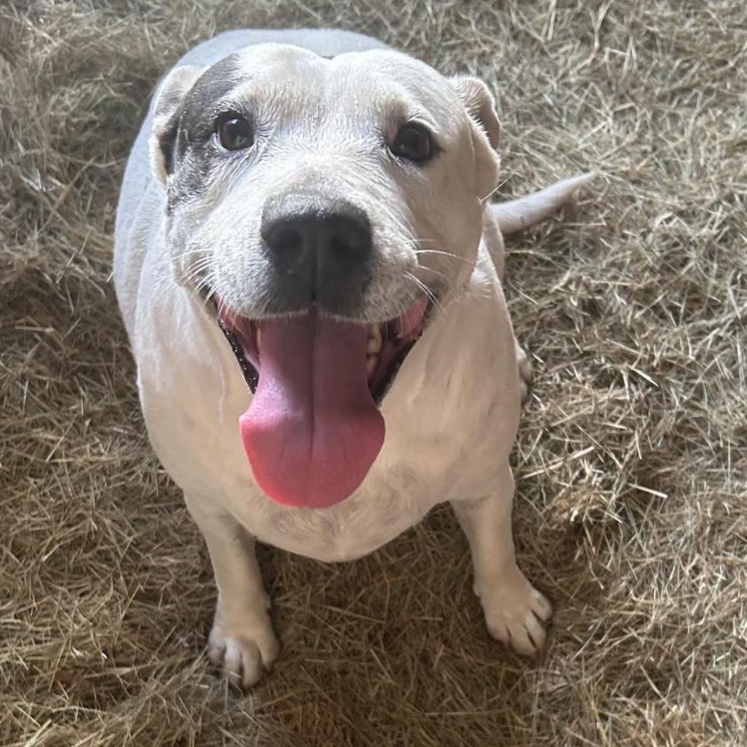 Mama — thumbnail 6