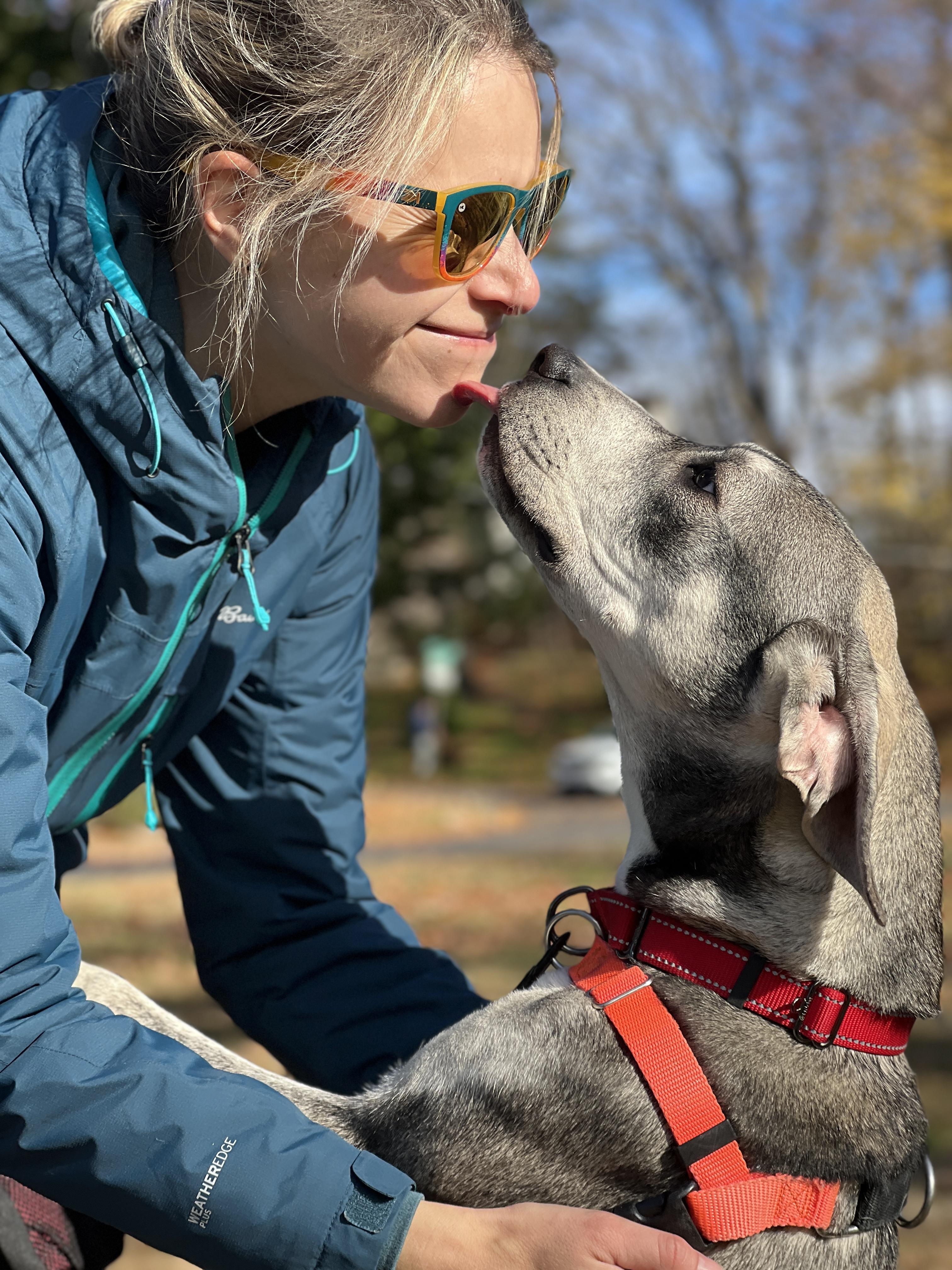 Enlarge Bonnie, a Adoptable mixed breed in New Rochelle, NY image 3/6