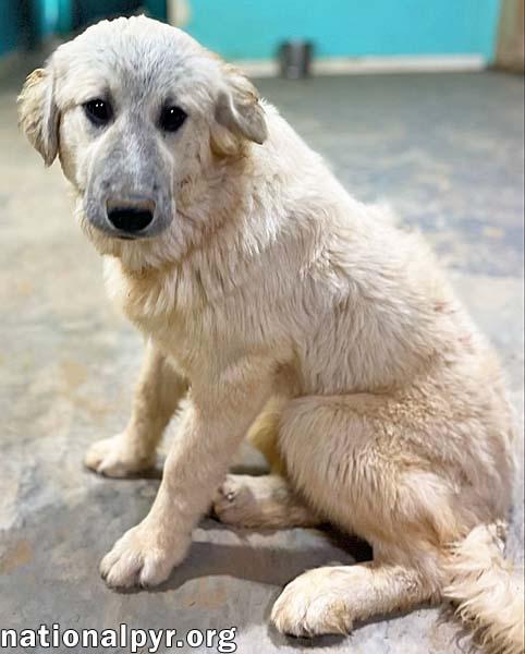 Daize in AL - Playful & Sweet!