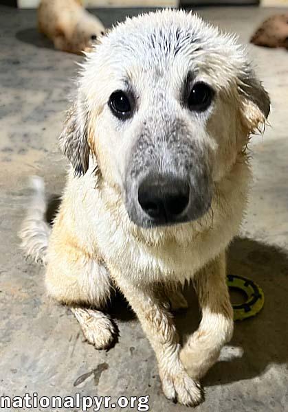 Daize in AL - Playful & Sweet!