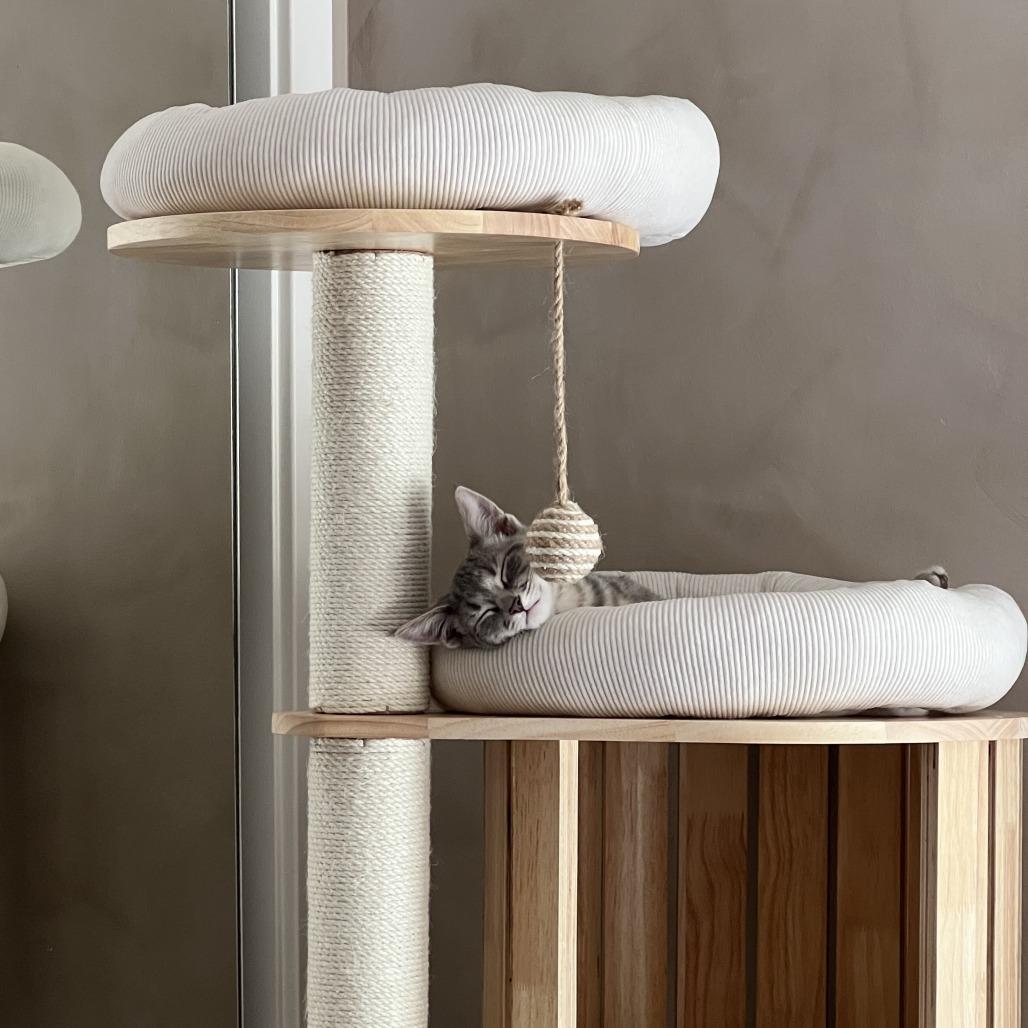 Maxine — thumbnail 2