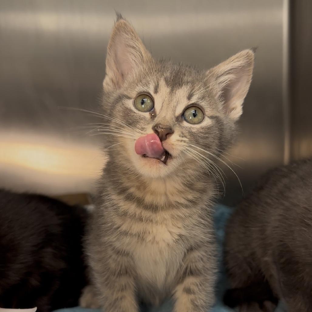 Maxine — thumbnail 3