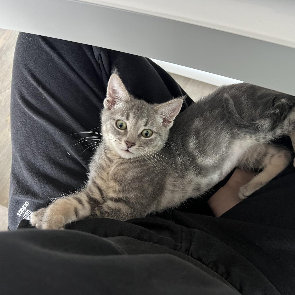 Maxine — thumbnail 4