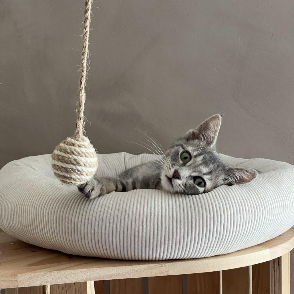 Maxine — thumbnail 5