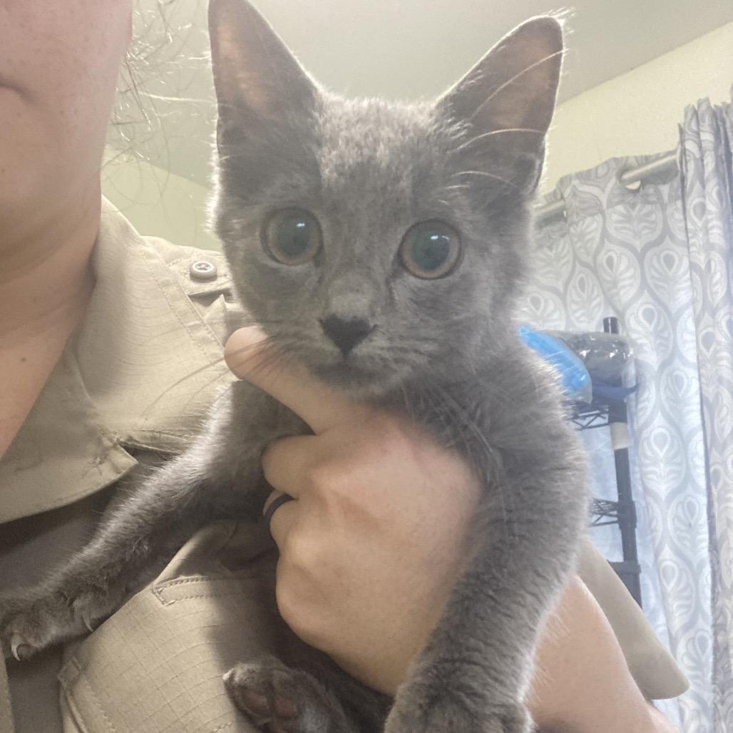 Princess thumbnail 2