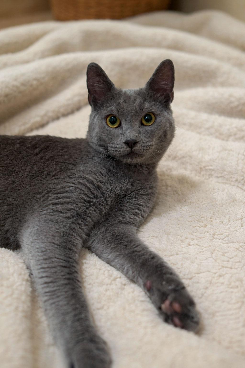 Chance the Napper — thumbnail 3