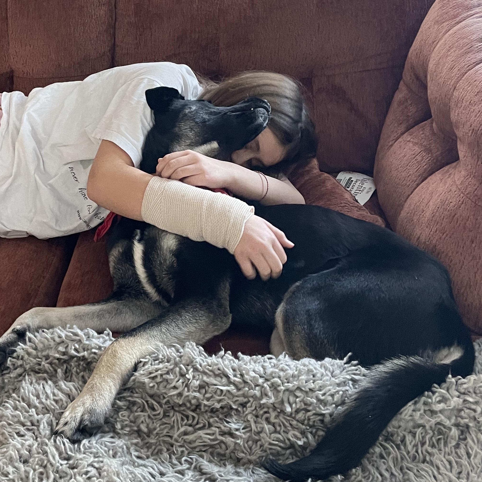 Enlarge Nomad, a Adoptable mixed breed in Hopkinton, MA image 5/6