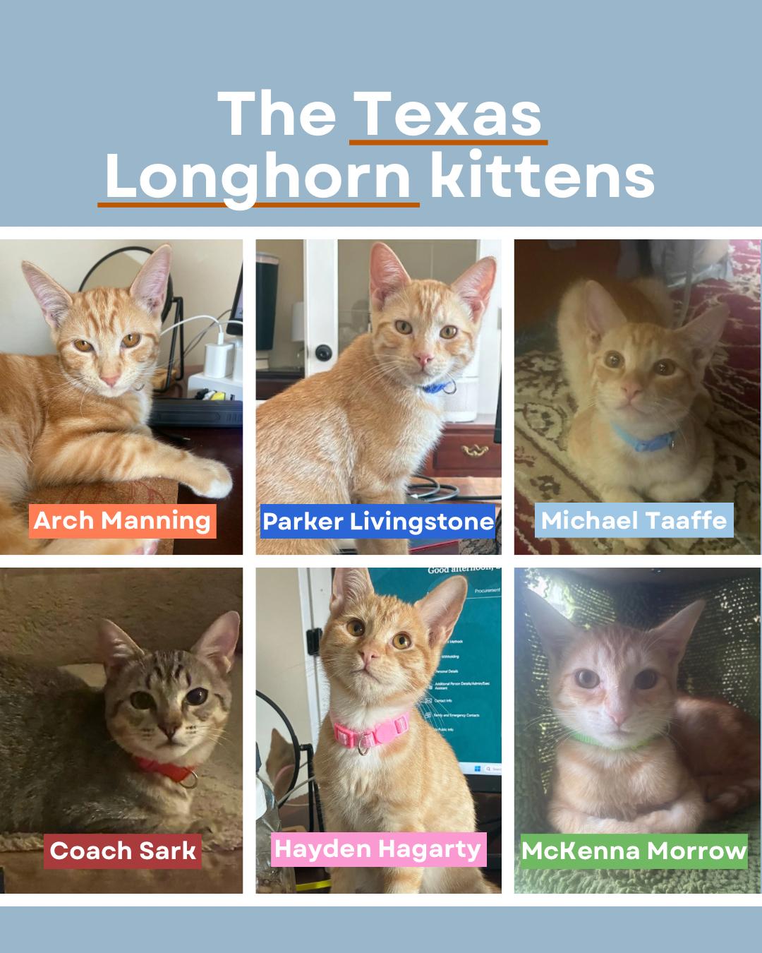 Hayden Hagarty & Michael Taaffe *bonded pair*