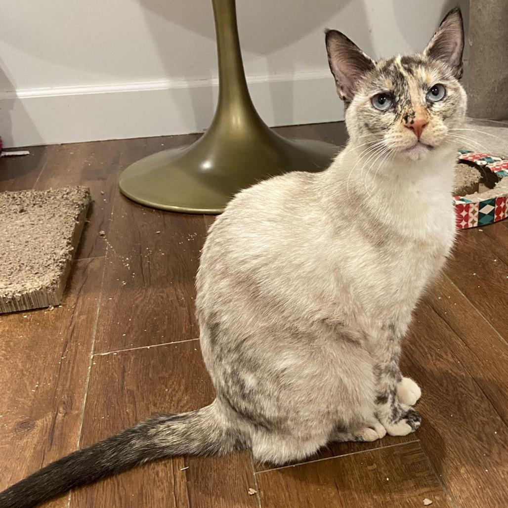 Carly — thumbnail 2