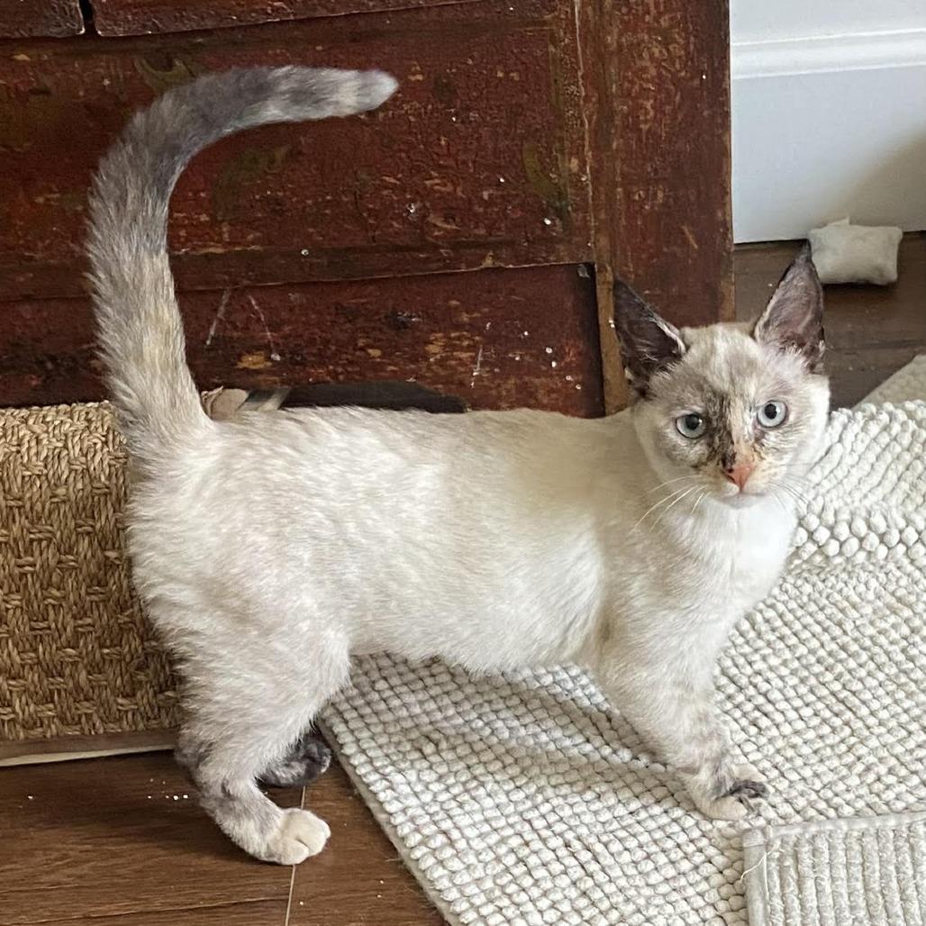 Carly — thumbnail 3