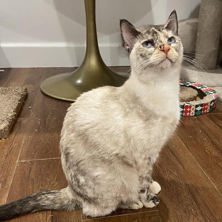 Carly — thumbnail 4