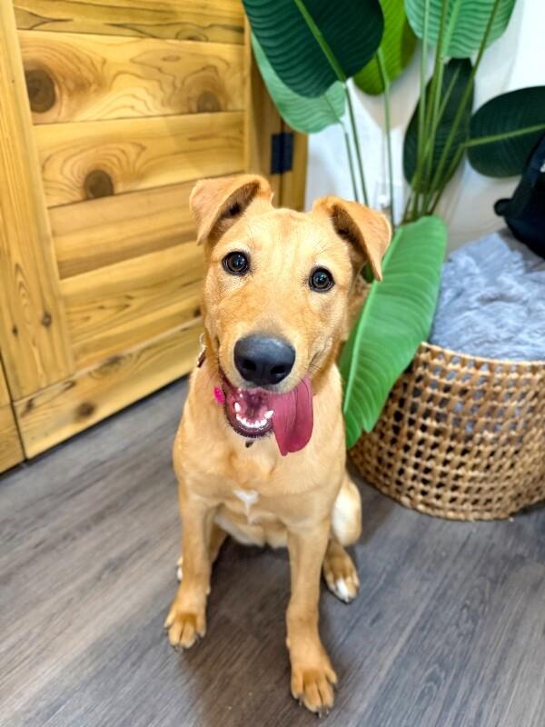 Maple May Will Steal Your Heart