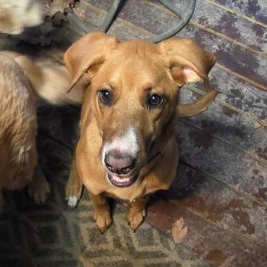 Duna — thumbnail 3