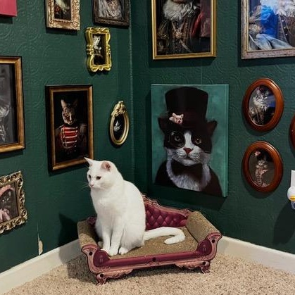 Enlarge Creature, a ADOPTABLE Domestic Short Hair in Silverton, OR image 4/4