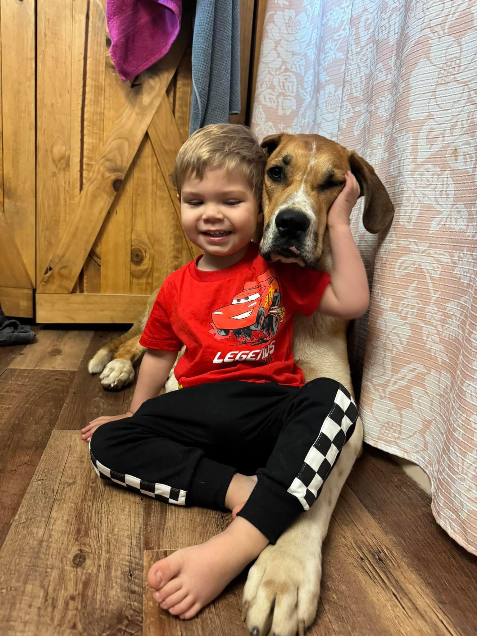 Enlarge Willard, a ADOPTABLE mixed breed in Byron, IL image 4/6