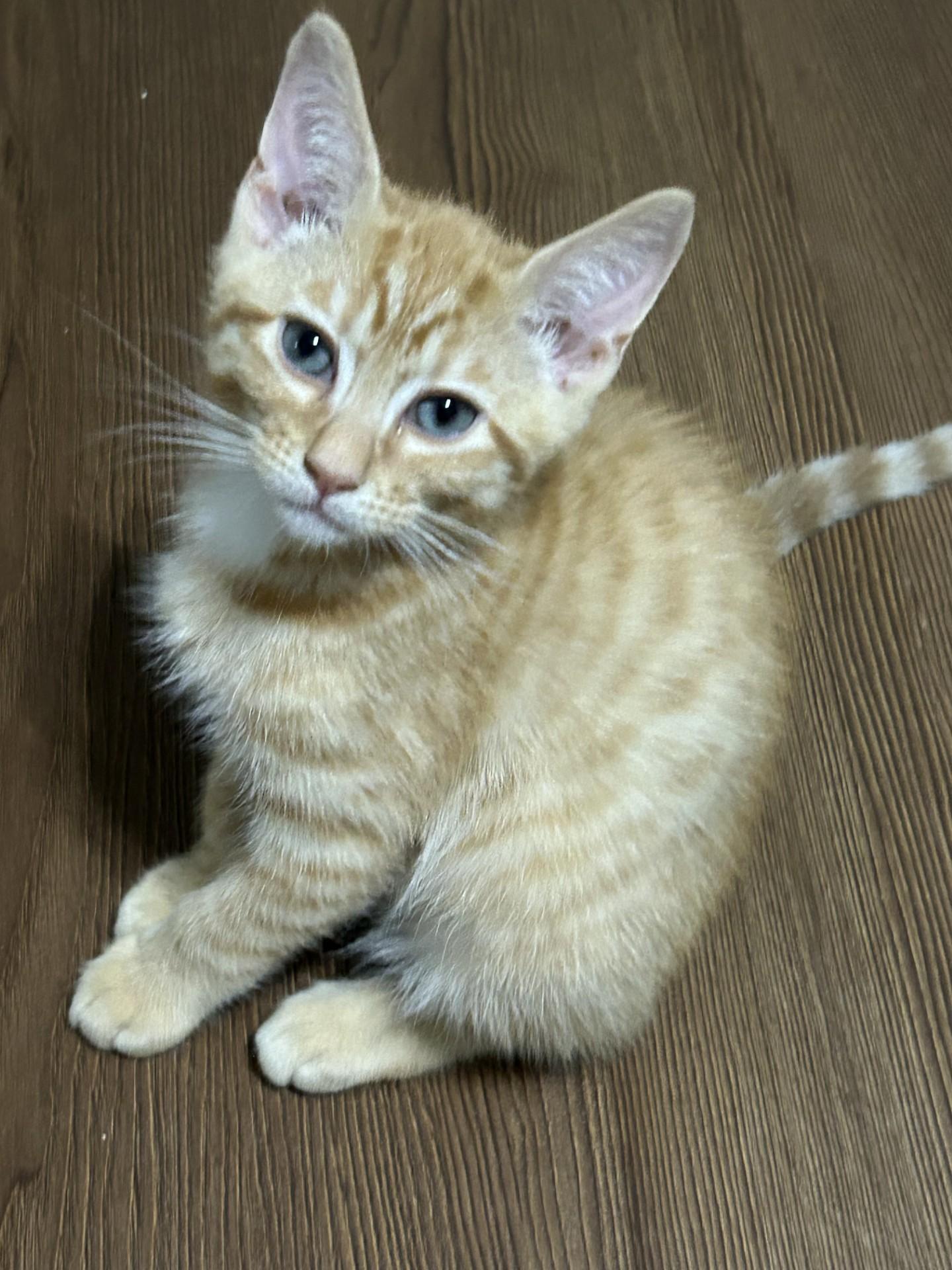 Sonny