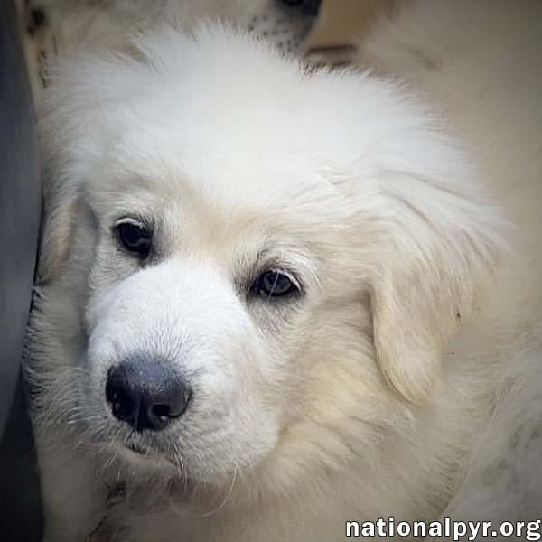 Chandler in OH - Silly, Confident & Loving!