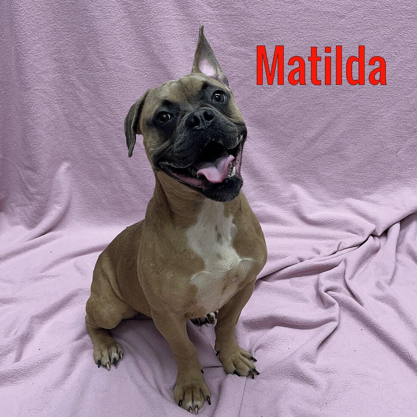 Matilda