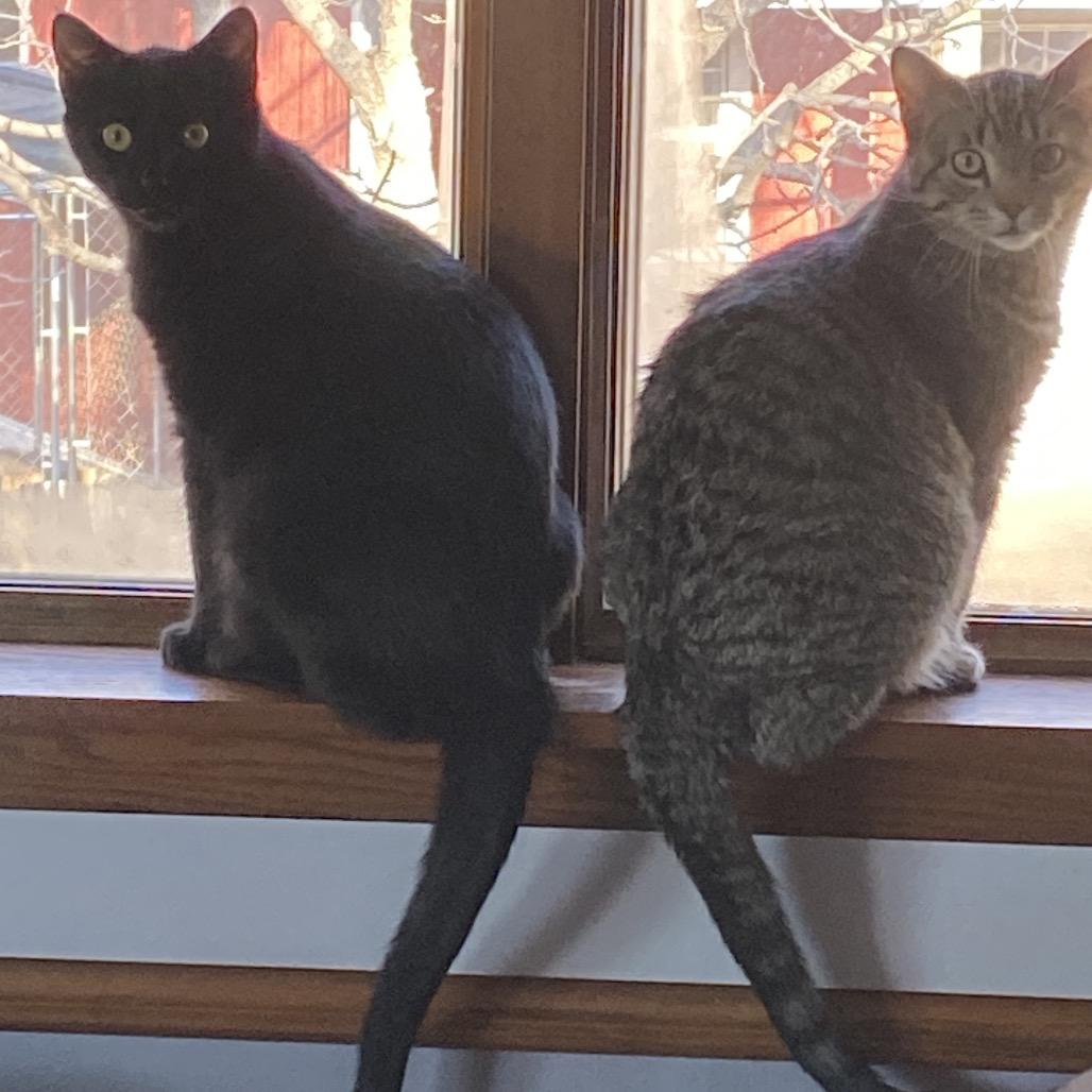 Slate — thumbnail 2