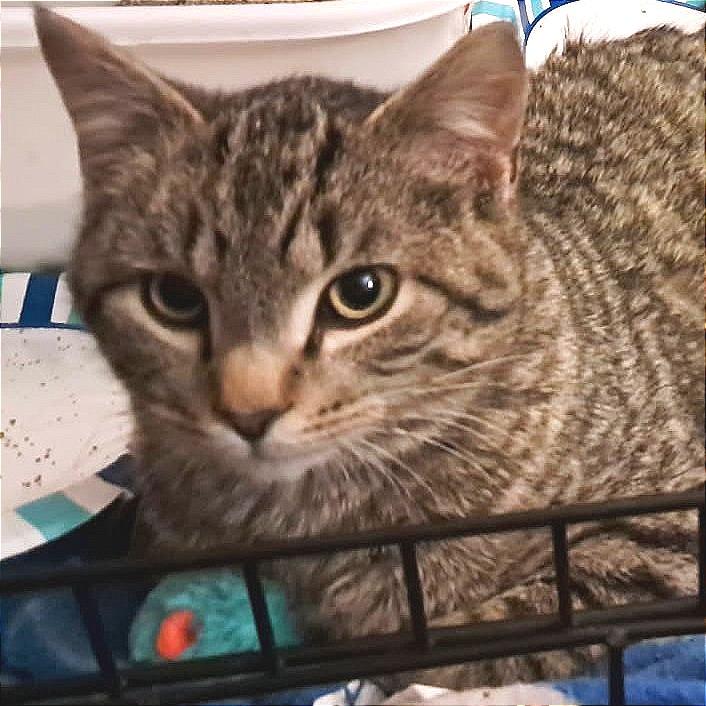 Slate — thumbnail 3