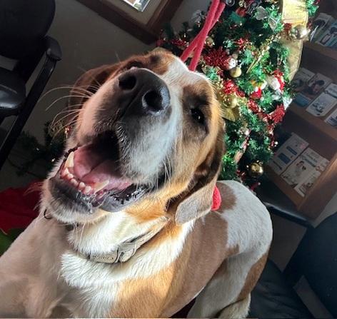 Walter  Sweet  thumbnail 2