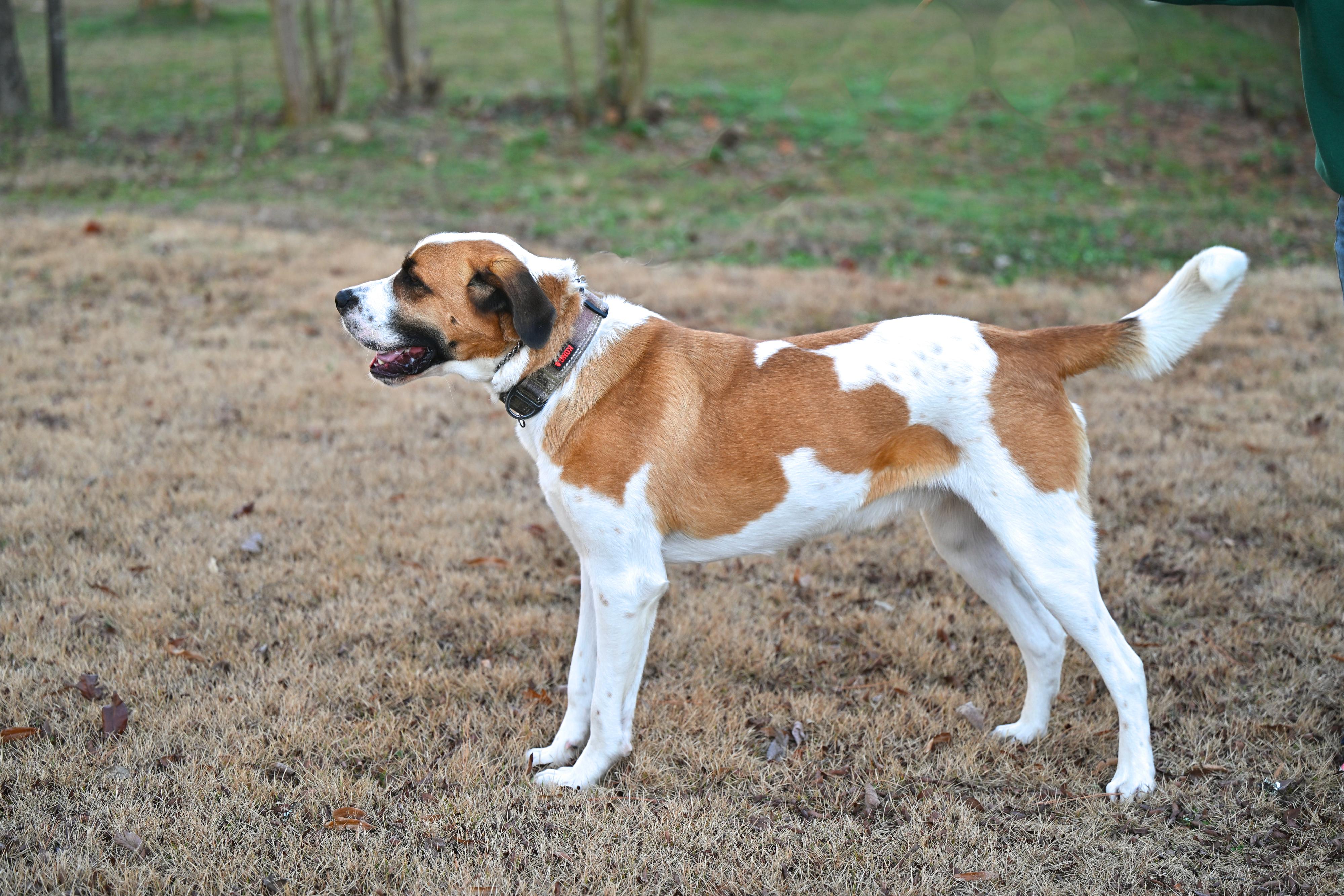 Walter  Sweet  thumbnail 4