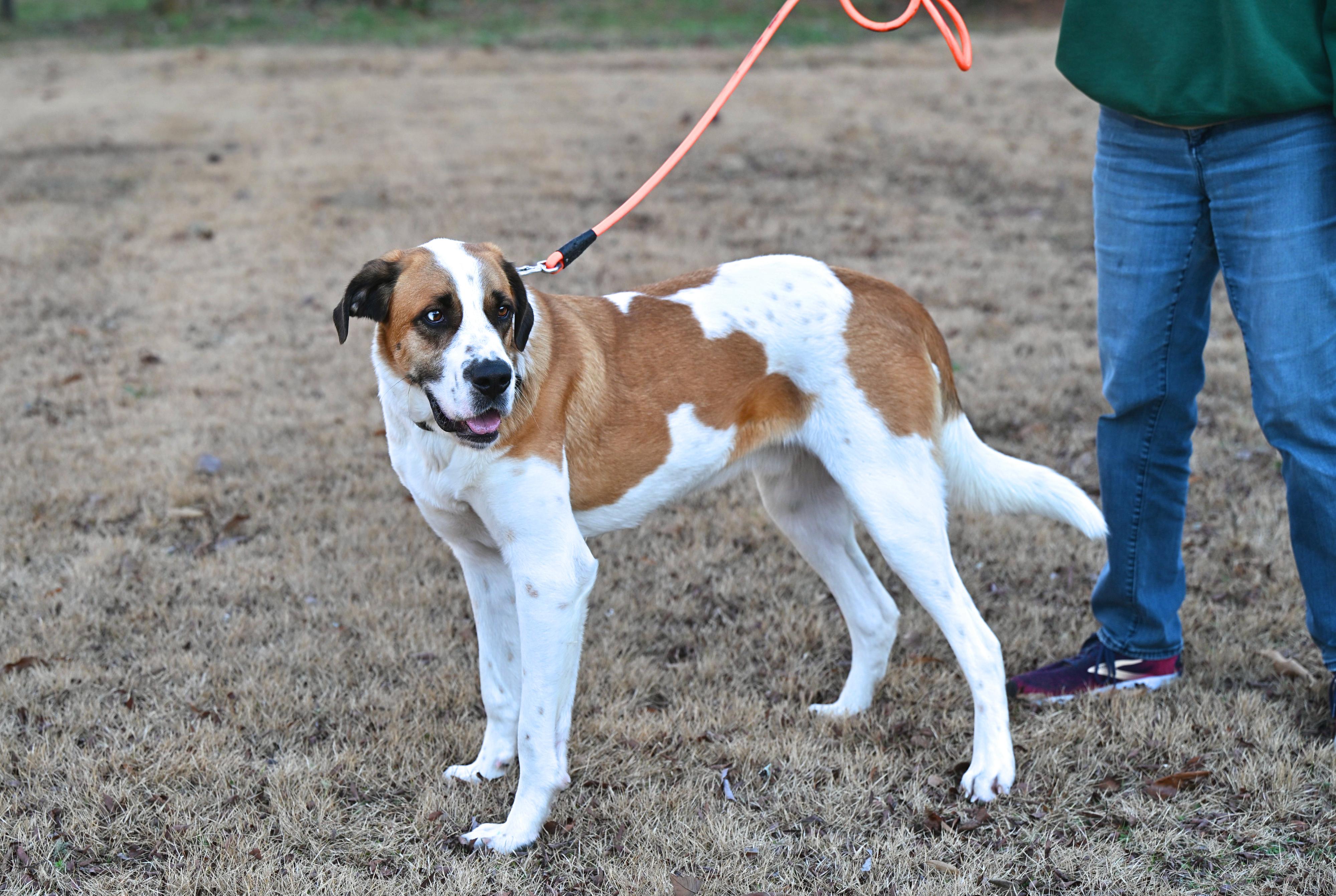 Walter  Sweet  thumbnail 5