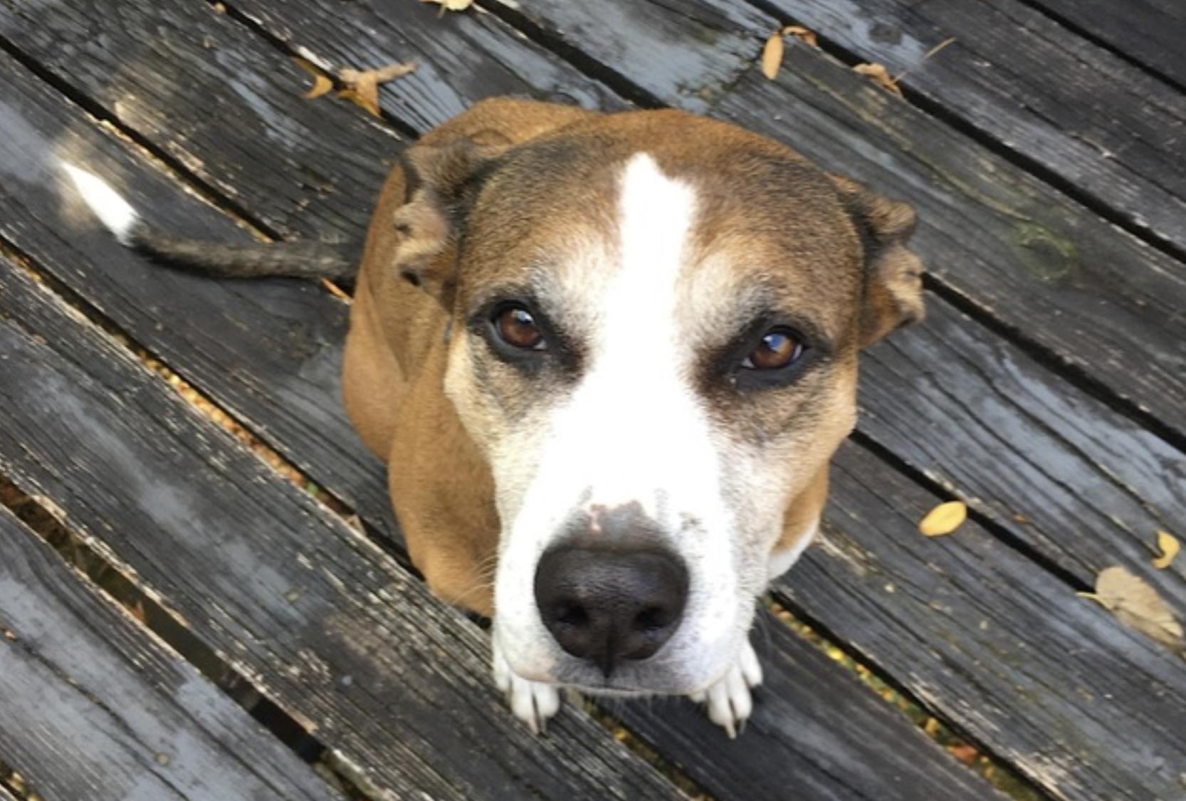 Augusta — thumbnail 3