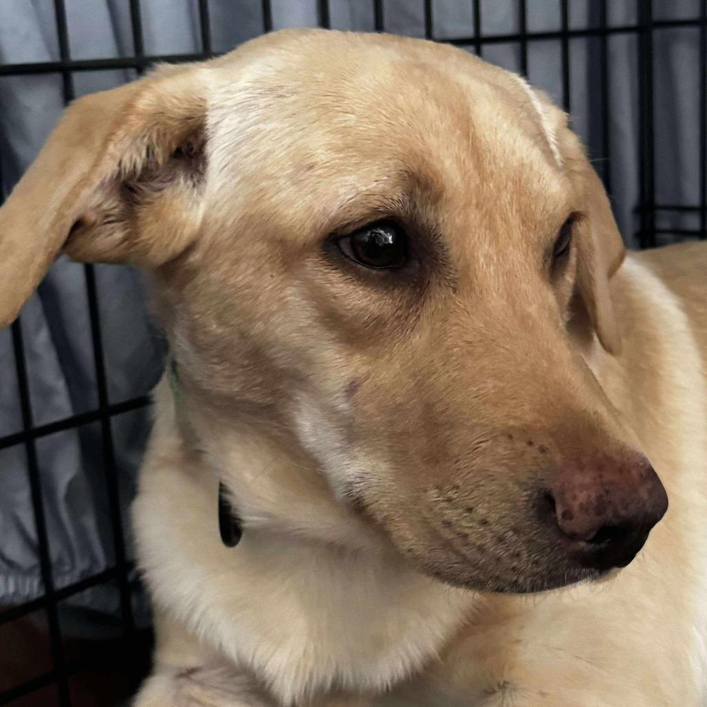 Flamingo Pink thumbnail 4