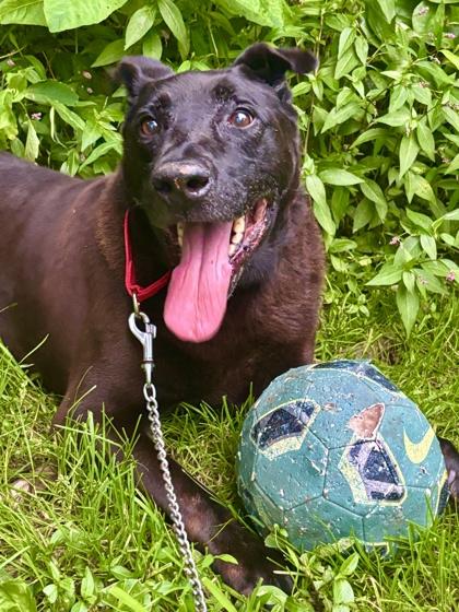 Frumpy — thumbnail 2