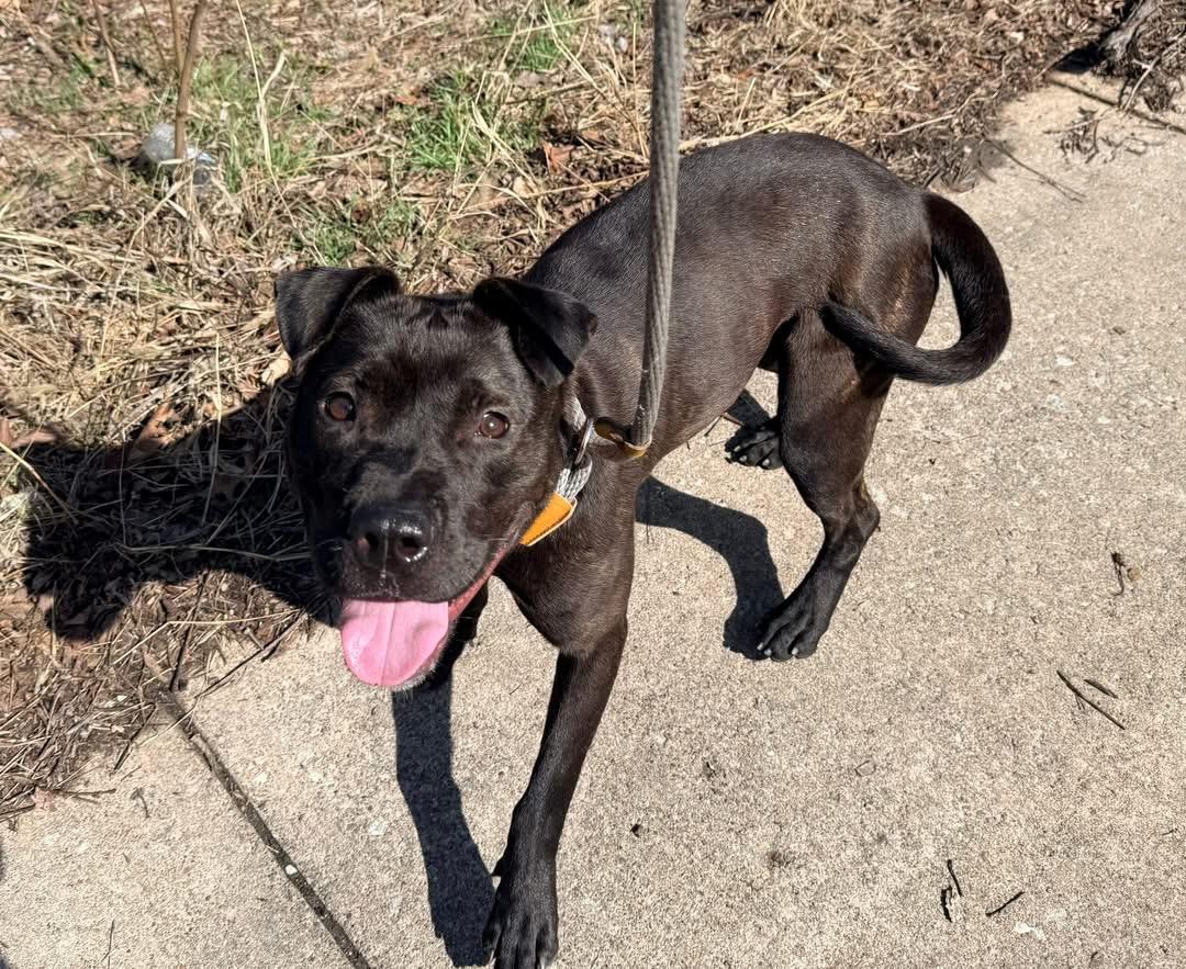 Cinder — thumbnail 3