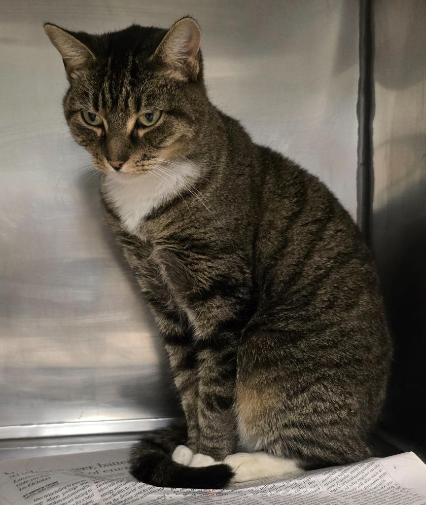 Madonna — thumbnail 2