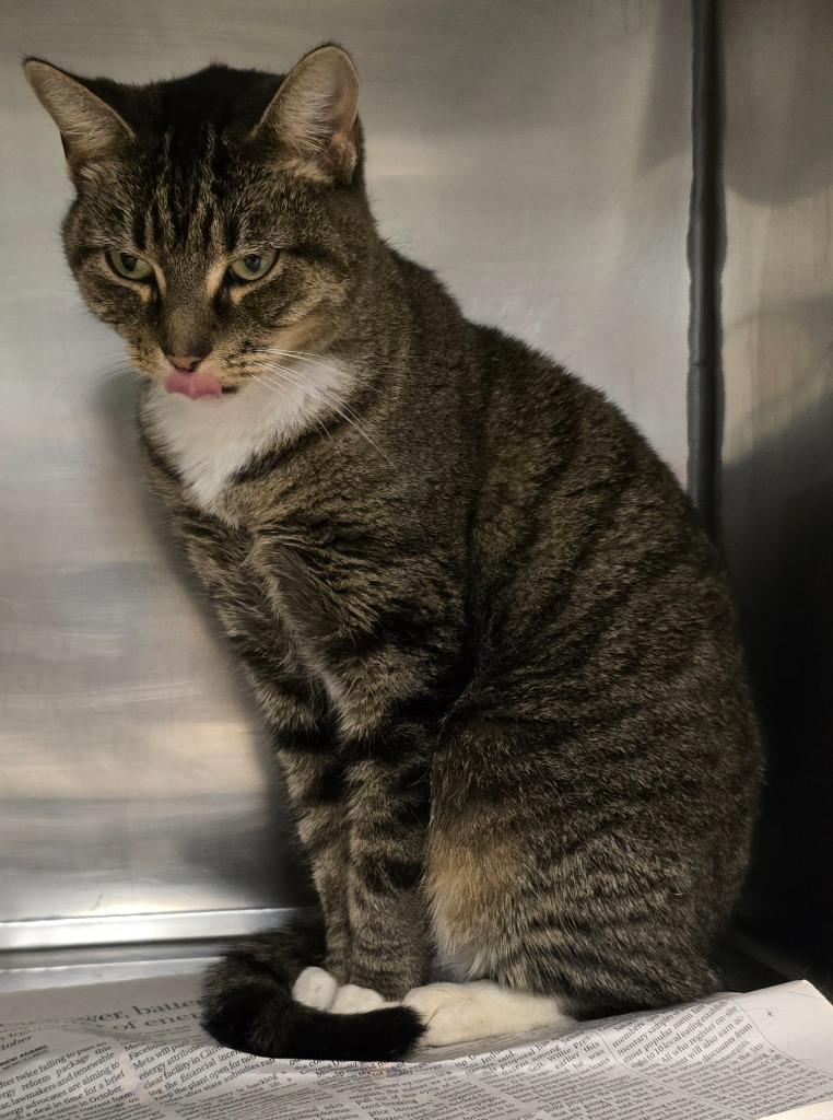 Madonna — thumbnail 3