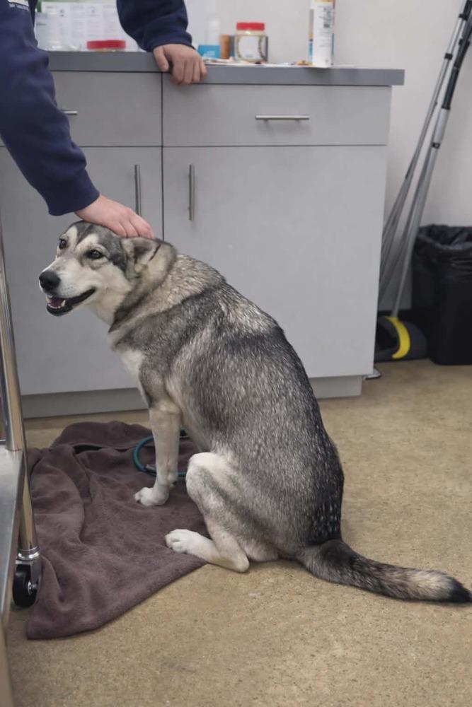 Luna Galaxy — thumbnail 2