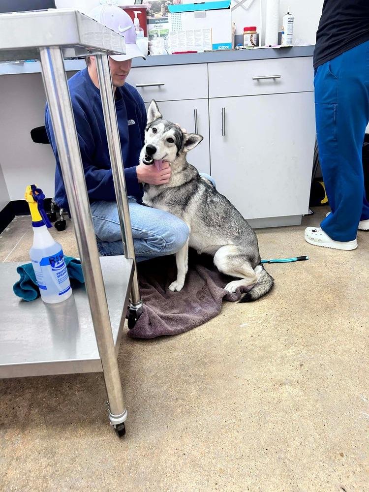 Luna Galaxy — thumbnail 3