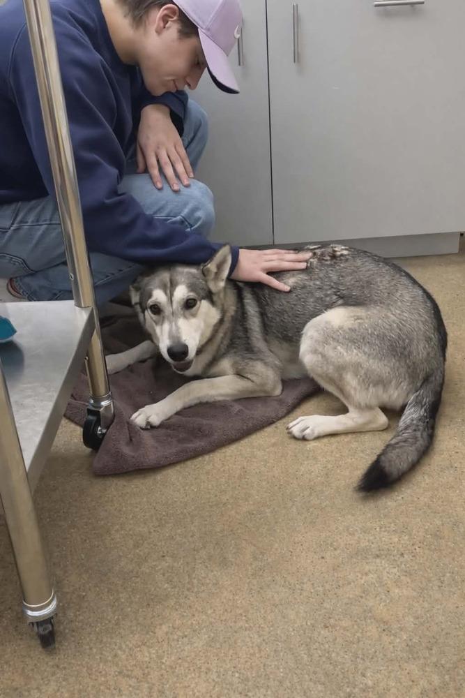 Luna Galaxy — thumbnail 4