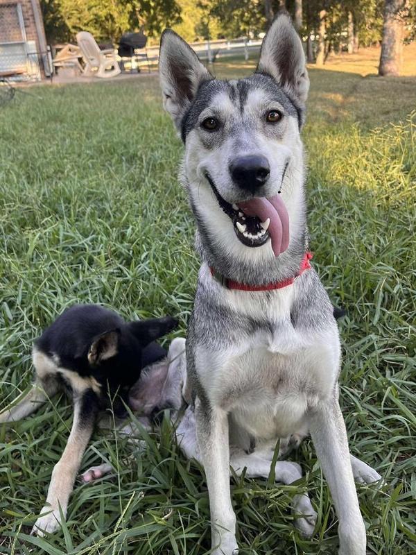 Luna Galaxy — thumbnail 5