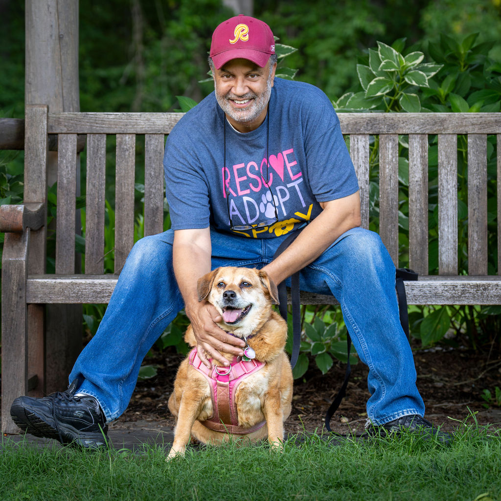 Enlarge Bebe, a Adoptable mixed breed in Bowie, MD image 11/12