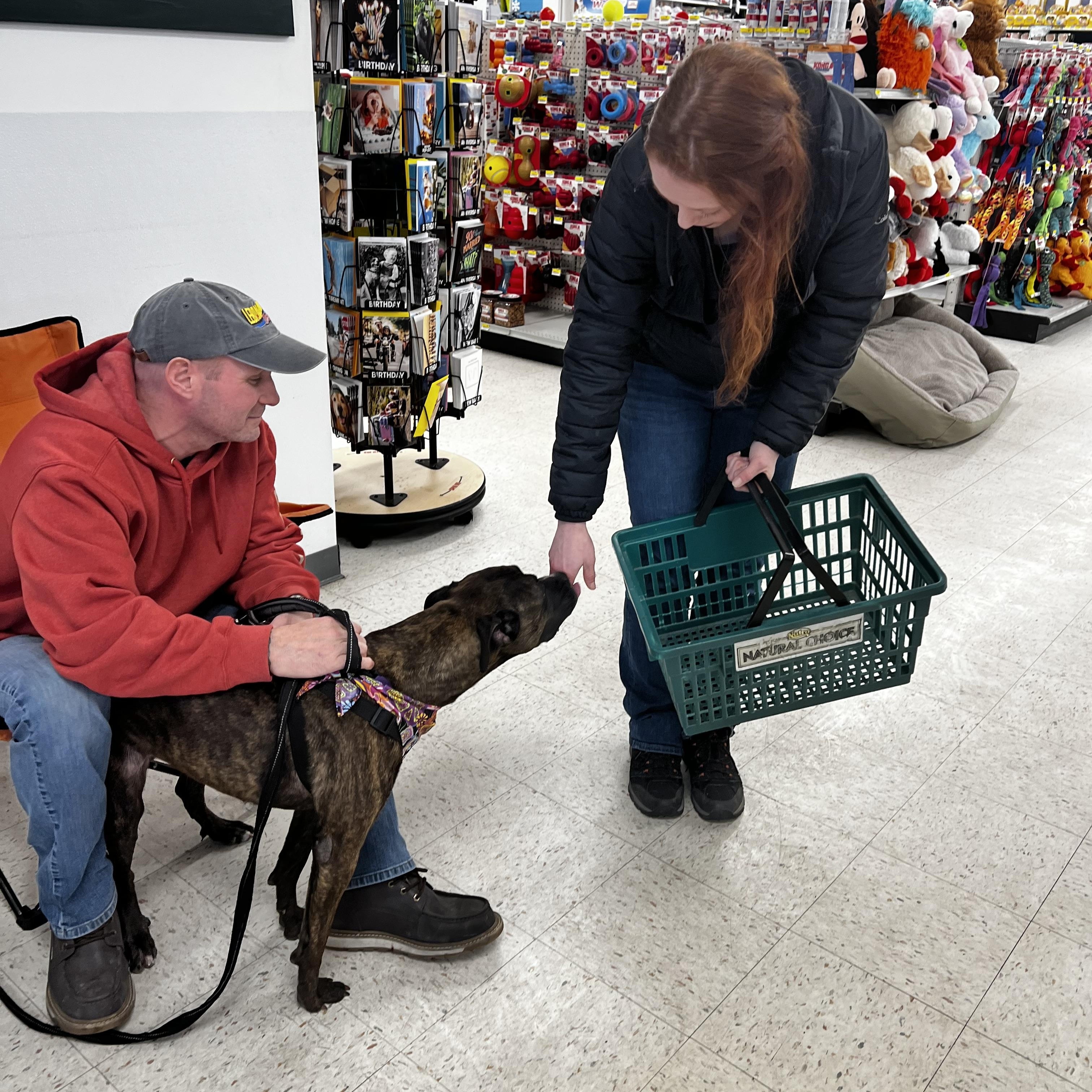 Enlarge Sadie, a Adoptable mixed breed in Saratoga Springs, NY image 6/6