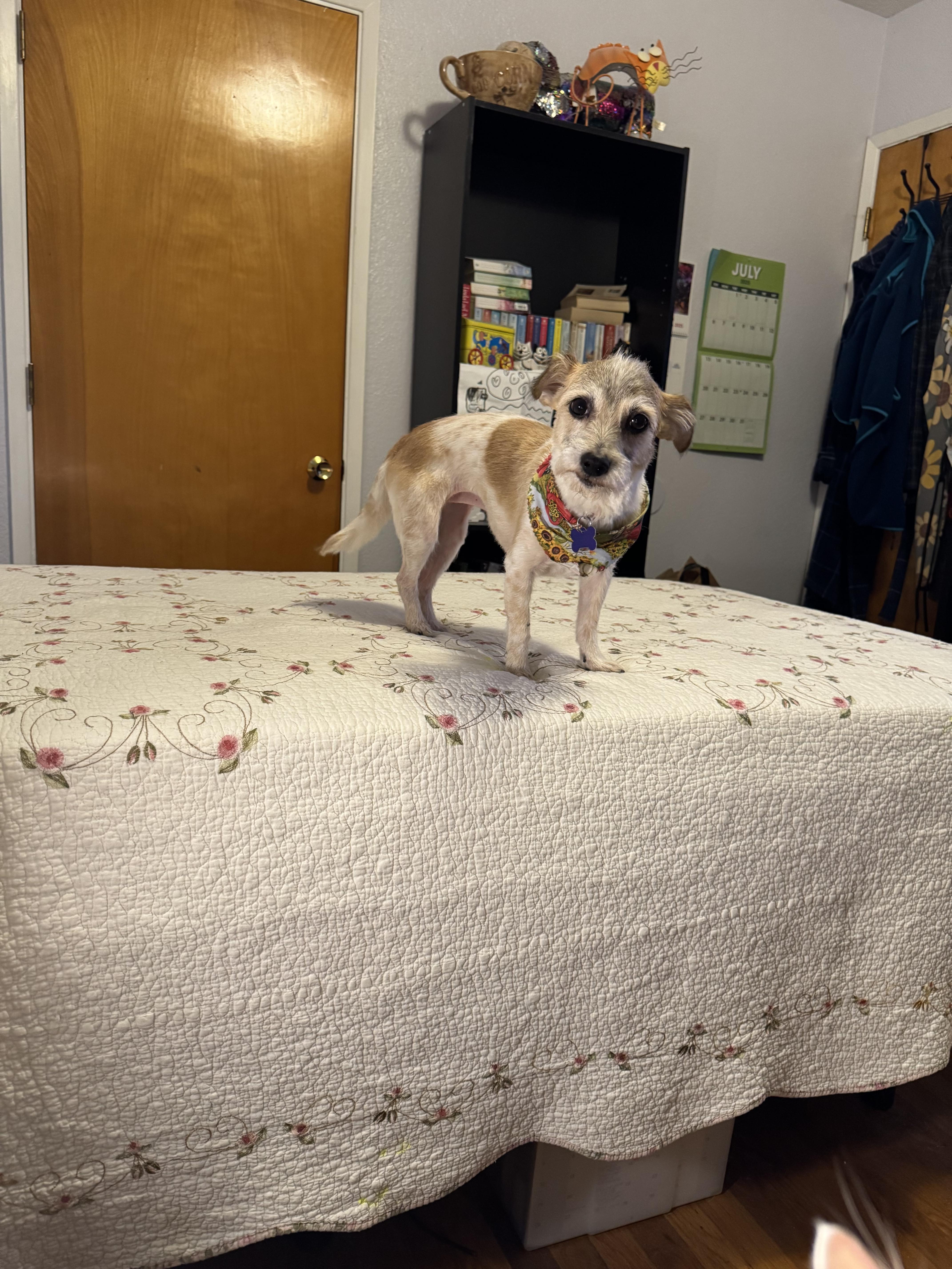 Buffy