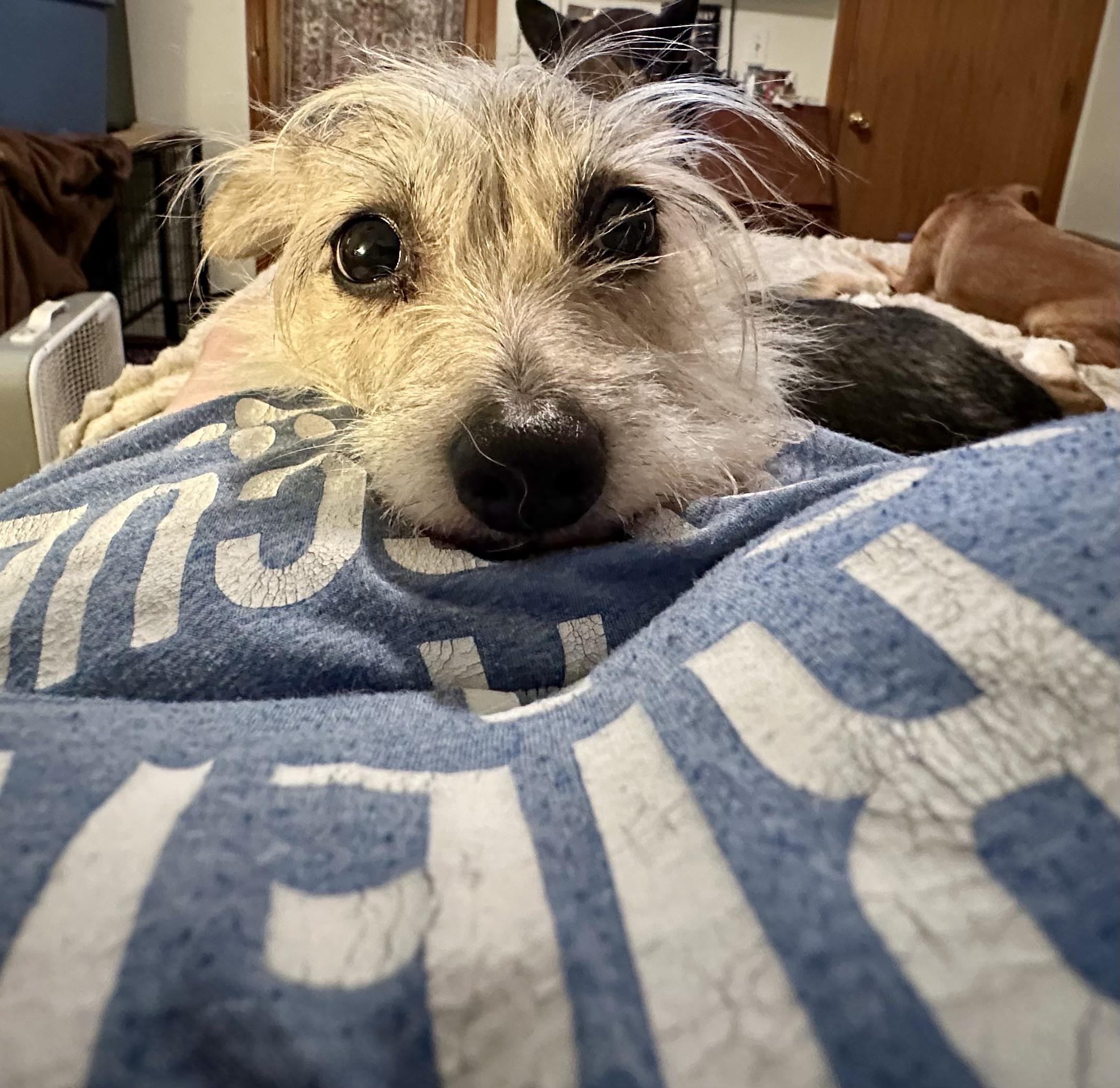 Buffy