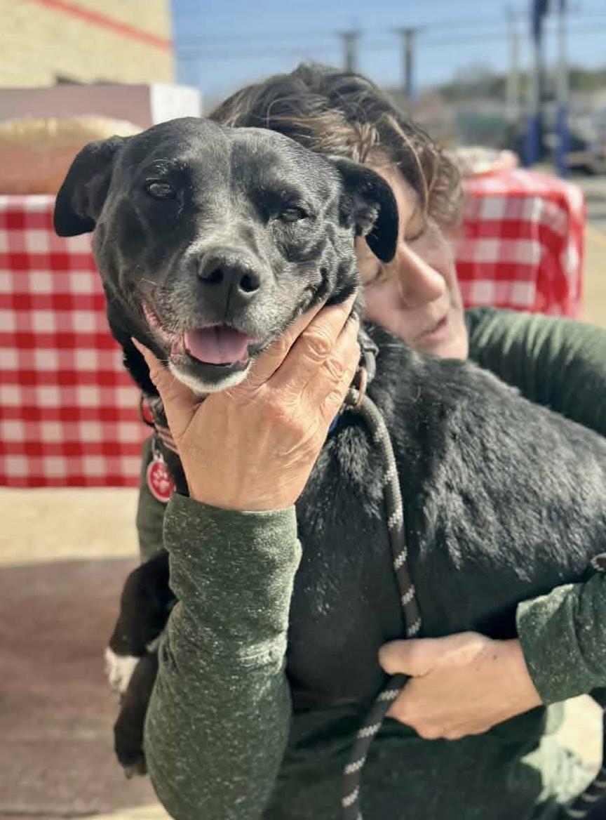 Enlarge PEPPER, a ADOPTABLE mixed breed in Waverly, TN image 3/6