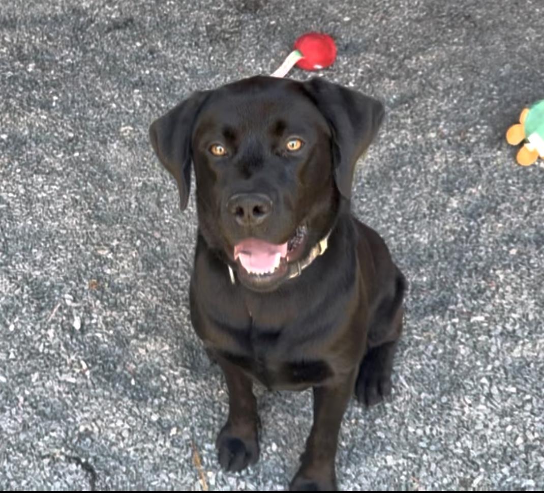 SAVE ME! I'm James - come meet me! photo 2